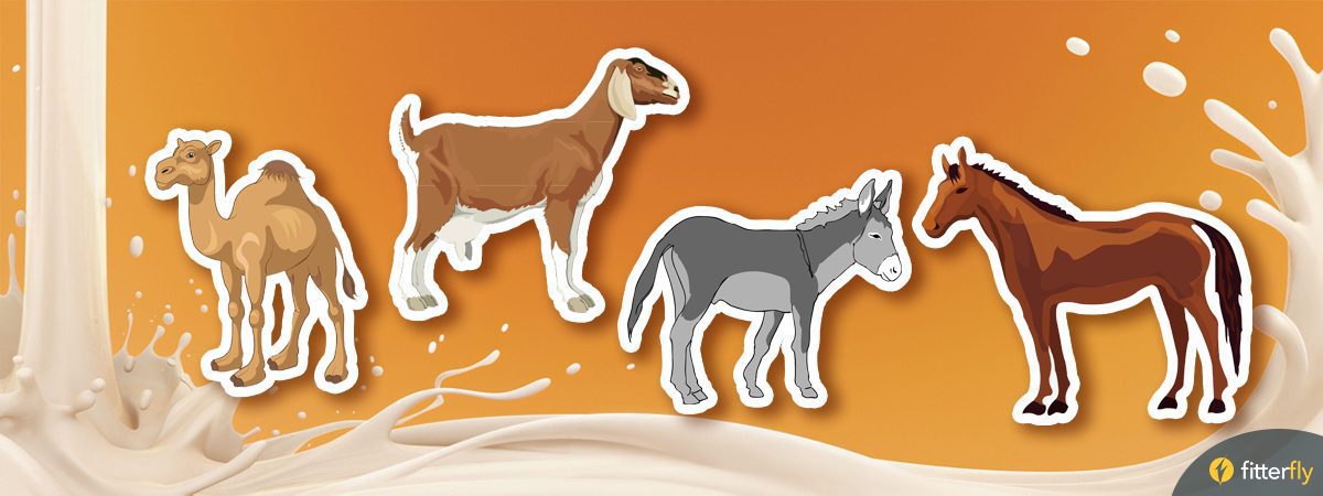 6-best-animal-based-milk-alternatives-you-dint-know-about