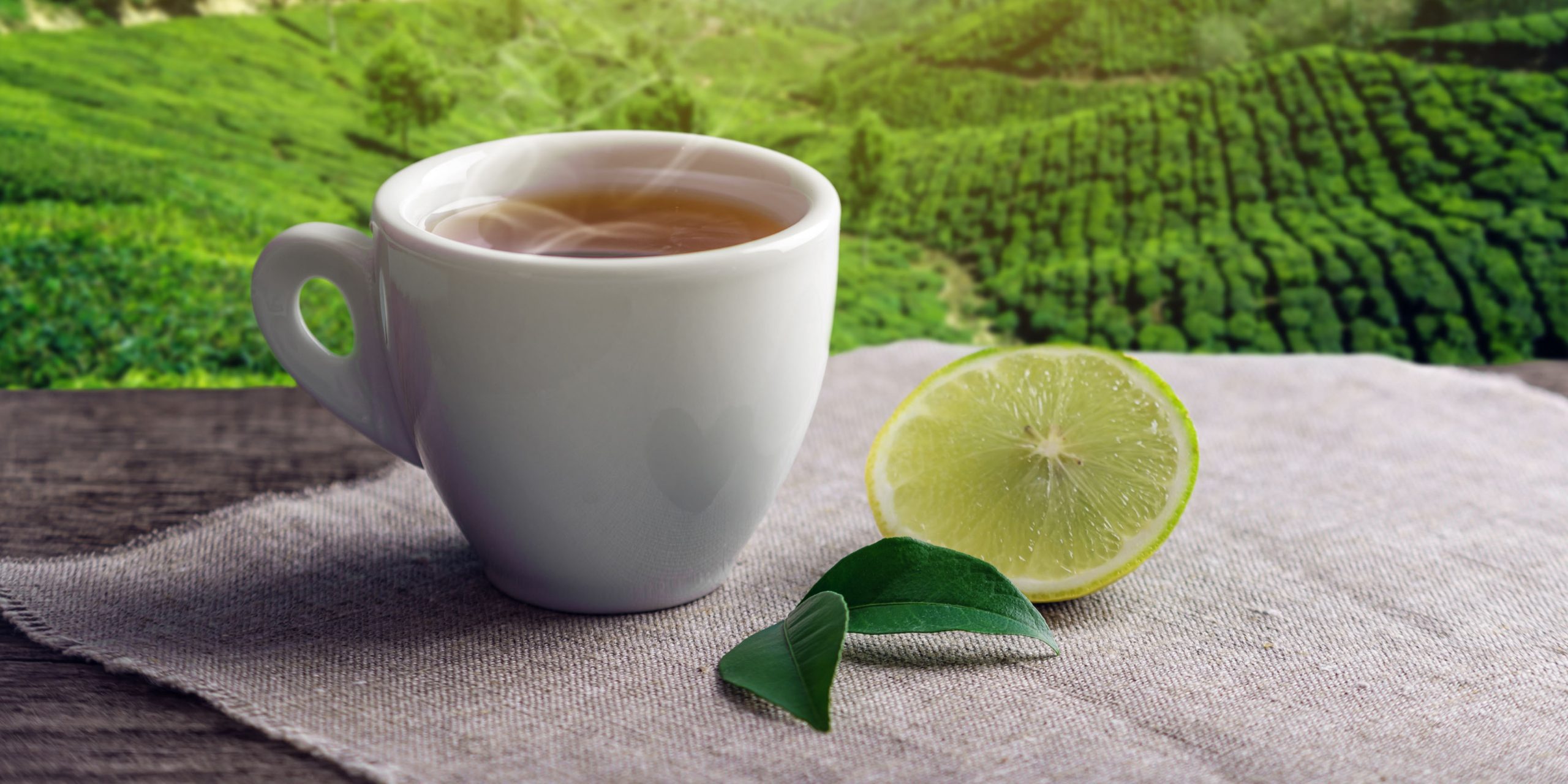 Is Green Tea Good for Weight Loss? green tea for weight loss.