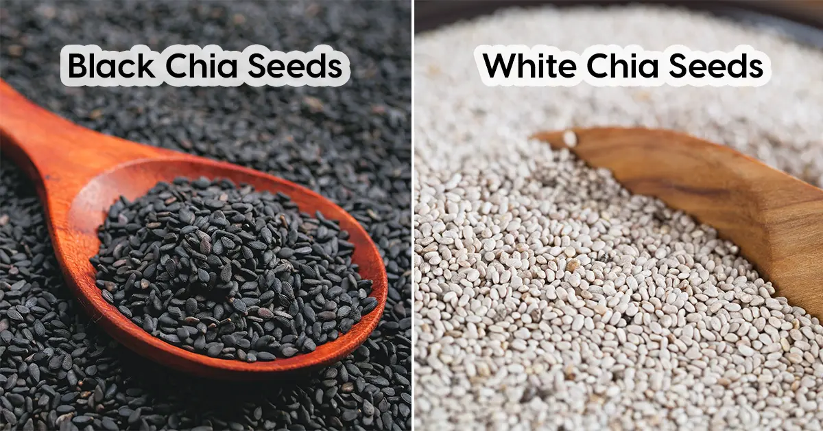 black and white chia seeds.