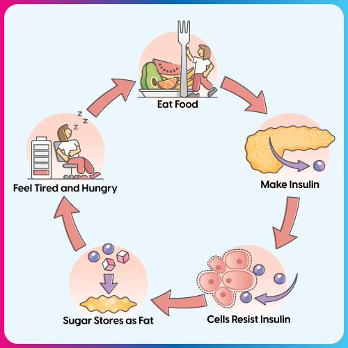 The-Role-of-Insulin-in-Regulating-Blood-Sugar-Level