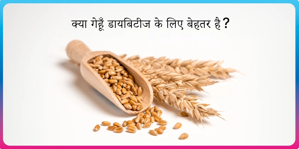 क्या गेहूँ डायबिटीज के लिए बेहतर है? Wheat Good For Diabetes