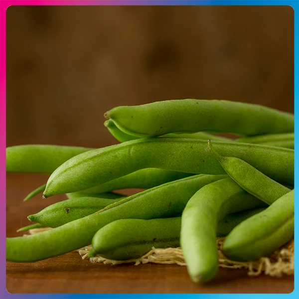 Beans Low-Calorie Vegetables for Weight Loss