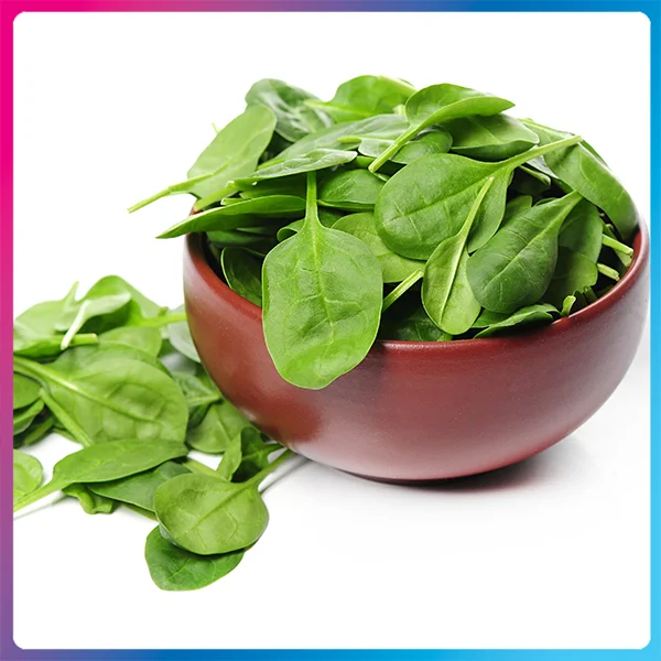 Spinach Low-Calorie Vegetables for Weight Loss
