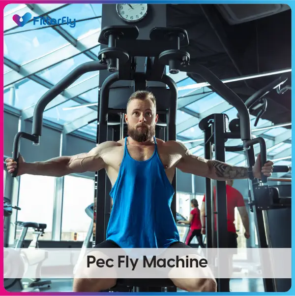 Pec Fly Machine weight loss machine