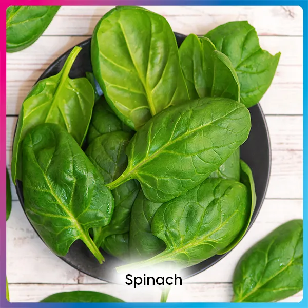 Spinach fat-burning foods