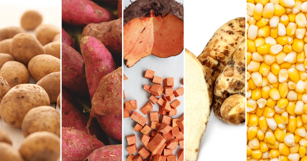 5 Vegetables to Avoid in Diabetes vegetables to avoid in diabetes