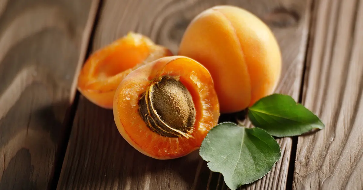 Is Apricot Good for Diabetes apricot for diabetes