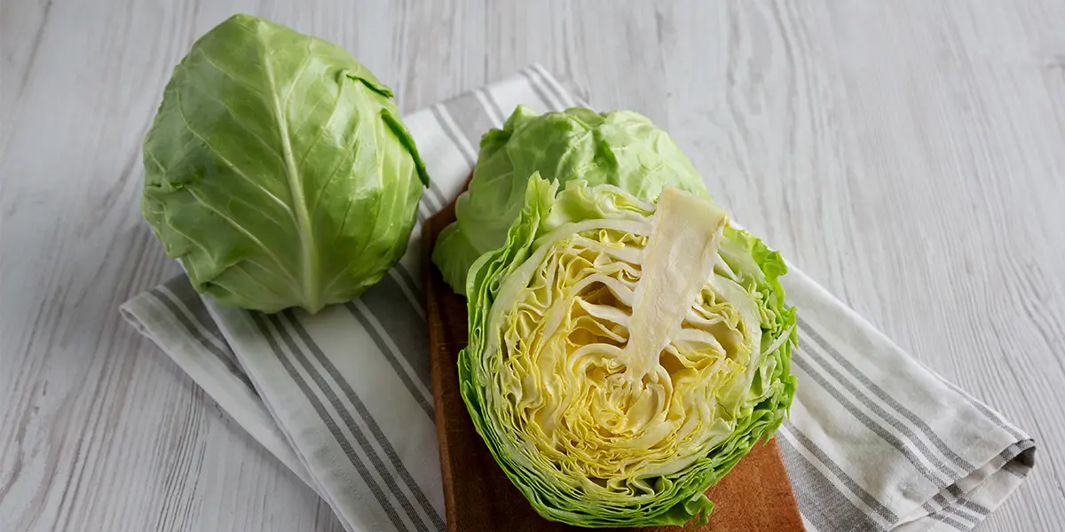 Is Cabbage Good for Diabetes? cabbage in diabetes