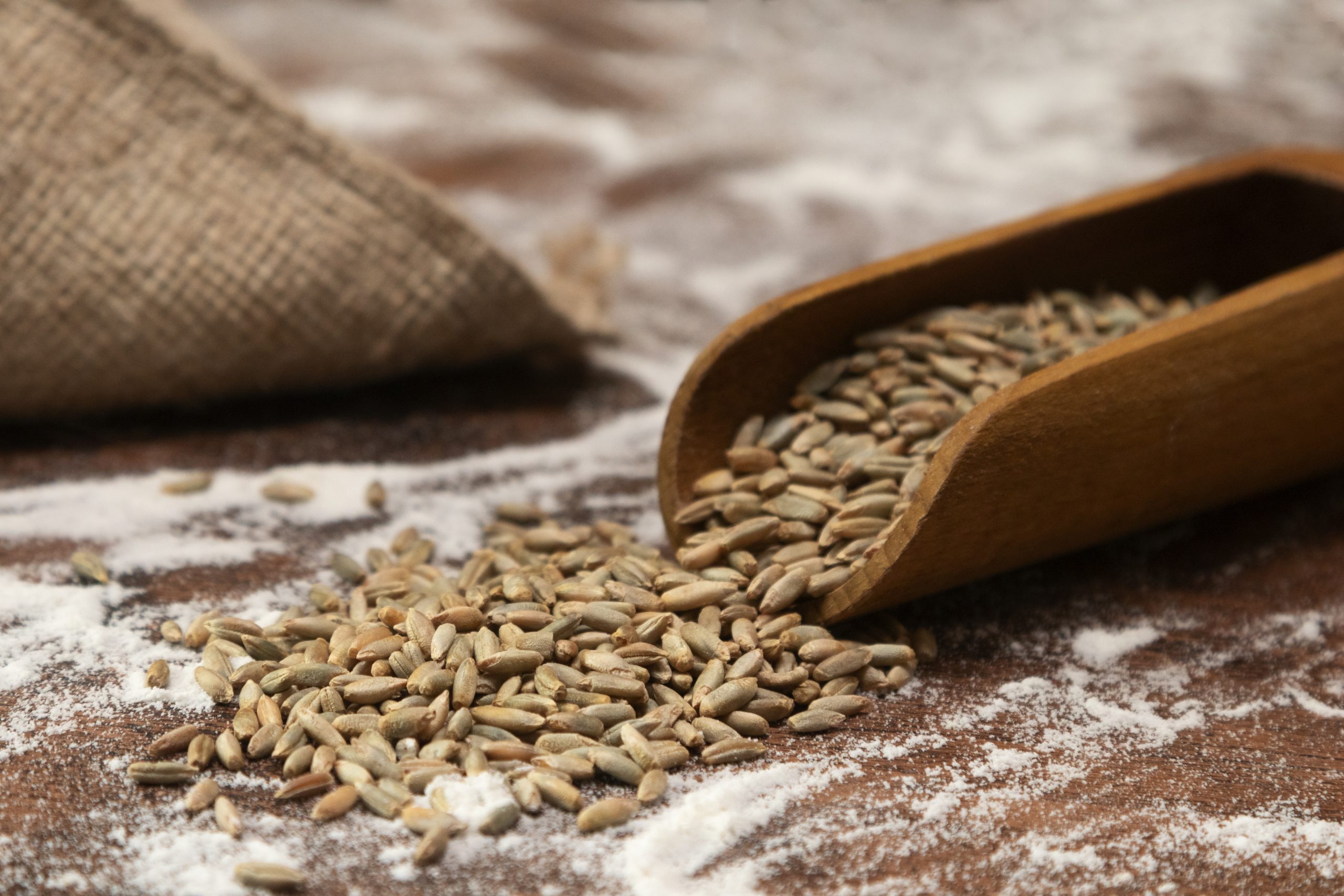 Is Khapli Wheat Good for Diabetes Is Khapli Wheat Good for Diabetes